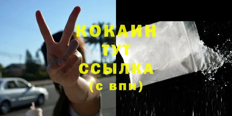 Cocaine Fish Scale  Дятьково 